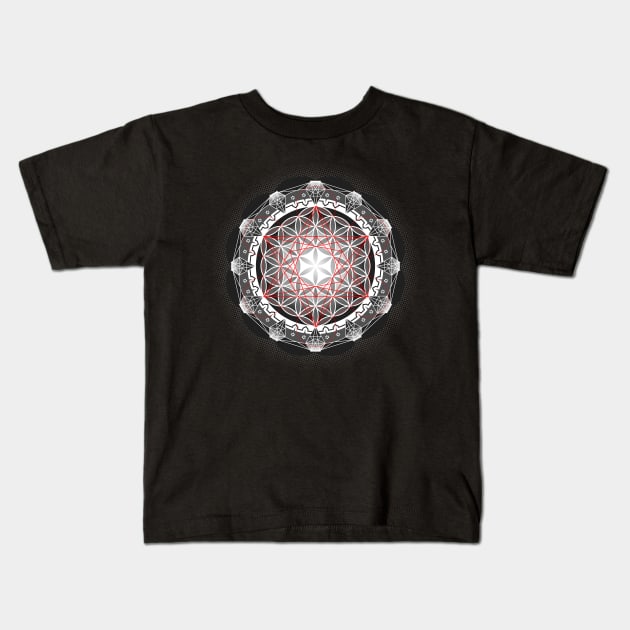 Flower of Life & Metatrons Cube Kids T-Shirt by DrSoed